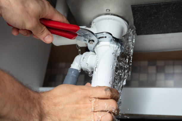 Best Flood damage cleanup  in Humboldt, IA