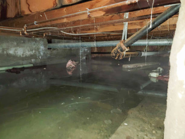 Best Sewage cleanup and water damage restoration  in Humboldt, IA