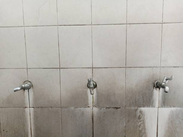 Best Local water damage restoration  in Humboldt, IA